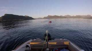 Båttur - Flipper 600 Dc