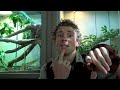 zootube