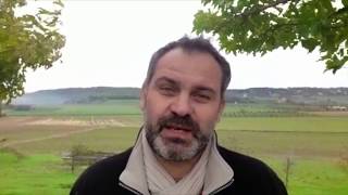Le Bio A-T-Il Meilleur Goût ?