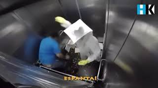 Trò đùa mất dạy và những cái kết chết cười