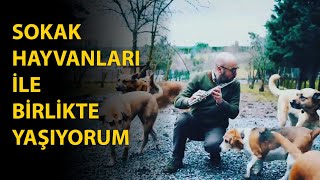 Sokak Hayvanları İle Birlikte Yaşıyorum Köpek, At, Eşek, Martı