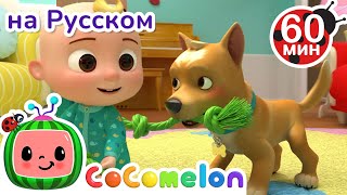 Мой Пёс Бинго | Сборник 1 Час | Cocomelon На Русском — Детские Песенки | Мультики Для Детей