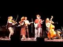 Bluegrass & Old-Time String Band Ensemble 2