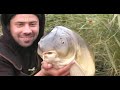 KARP - MOJA OBSESJA