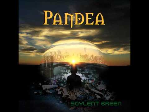 Header of pandea