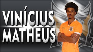 Vinicius Matheus - Defensive Midfielder - 2021