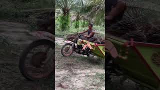 Bentor Sawit