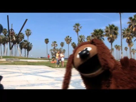 Rolling with the Skateboarding Dog