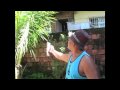 Mundo Real, Laboriaux Forced Evictions Documentary Promo