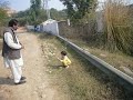 Raza Playing His Little Daughter Mahnoor Mov images Raza Playing His Little Daughter Mahnoor Mov