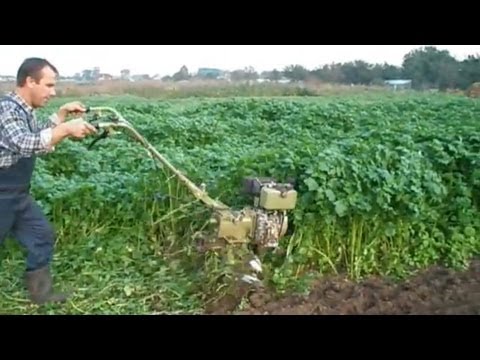 Своими руками картофелекопалка для каскад Своими руками картофелекопалка для каскад