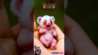 Tiny Hybrid Baby Animals Exploring The World Part 8 See The Magic