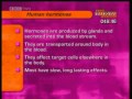 GCSE BBC Science Bitesize   Hormones Low