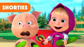 Masha and the Bear Shorties 👧🐻 NEW STORY 🥒🐷 Come on let's share (Episode 20) 🔔