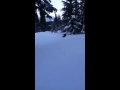 The real deep snow play