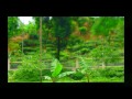 sylhet