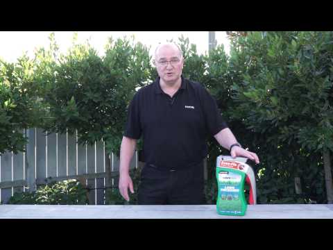 Video - How to Green and Thicken Your Lawn