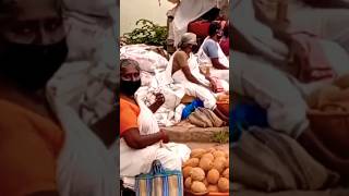 Hardworking Woman Sells Coconuts On The Streets Of