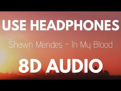 Shawn Mendes - In My Blood 8d