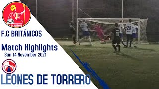 Británicos v Leones De Torrero 14/11/2021