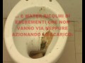 GIOCHI DELLA GIOVENTU' ALLO STADIO DI ISCHIA: BIMBI UTILIZZANO BAGNI LURIDI E ZOZZI