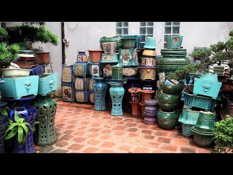 Địa chỉ đáng tin cậy mua chậu Bonsai, cây cảnh ở Hà Nội