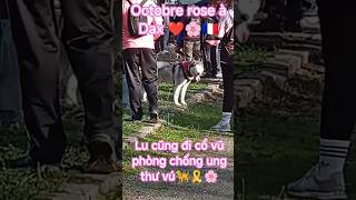 Chú Chó Dễ Thươngcute Dog -Fs2Hw