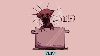 The Boiled One Phenomenon Meme Compilation 2024