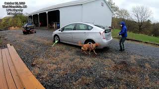 Alleyway Sample Video - October 25 L1V Trial