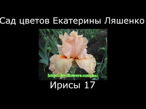 Добавить цветы на вшопе Добавить цветы на вшопе