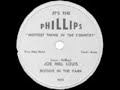 Joe Hill Louis Boogie In The Park .flv