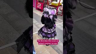 The First Time Zizi Wears An Animal Costume, So Cute.
