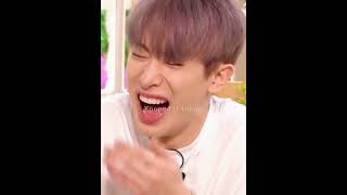 Shownu And Wonho
