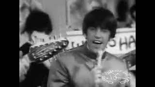 Watch Paul Revere  The Raiders Dont Take It So Hard video