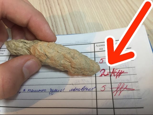 Пранки над друзьями как сделать читать Пранки над друзьями как сделать читать