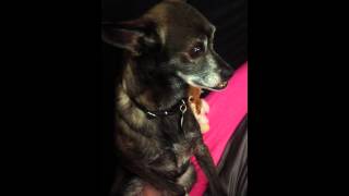 Dexter Crying