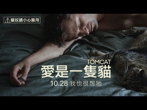 愛是一隻貓 - 電影預告