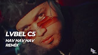 Onlar Arkadan Havlarlar Bifaris Remix Lvbel C5 - Havhavhav W
