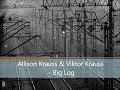 Allison Krauss & Viktor Krauss - Big Log