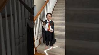 Harry Potter Expecto Patronum Spell