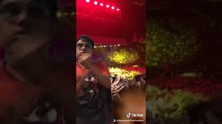 Tik Tok Danes Michael Pinkfong Baby Shark Famous Music