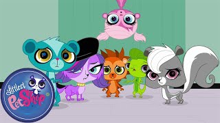 Littlest Pet Shop Books And Covers Season 1 Pet Cartoon