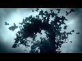 YouTube YouTube