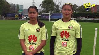 iGSdFfcbals Video Image
