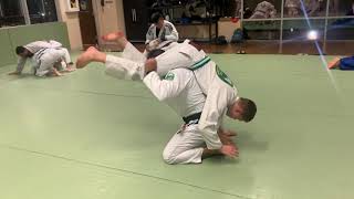 Recompose and Revert from Bottom Turtle Position - Brazilian Jiu-Jitsu