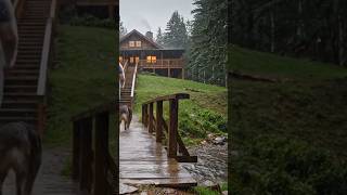 Relaxing Rain, Creek & Fireplace Sounds Cozy Log Cabin By The Creek