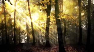 Watch Aha Here I Stand And Face The Rain video