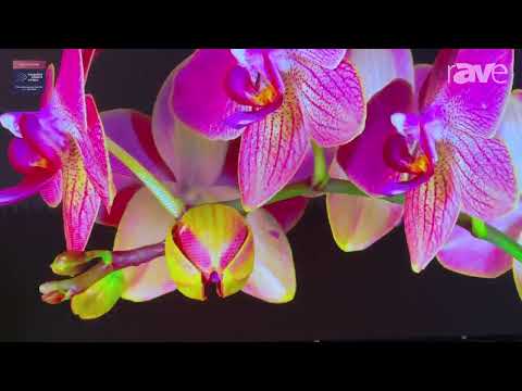 ISE 2025: Premteco Features SP1 Pro P1.2 Indoor LED Screen with High Refresh Rate