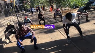 Jah Prayzah - Dzamutsana |DANCE VIDEO