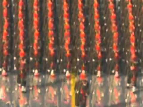 Live for India Die for India - Indian Patriotic song.flv